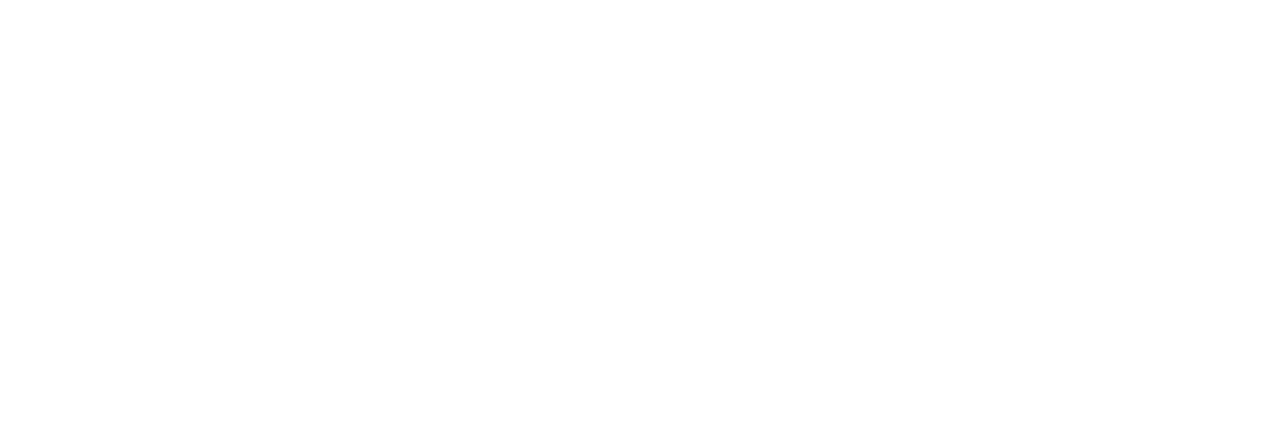 proXima logo all white-min